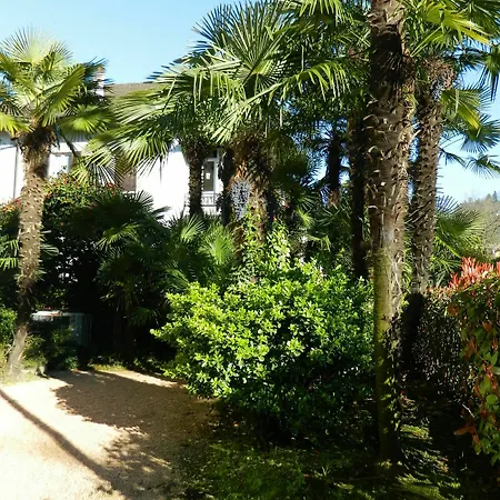 Hotel Carducci 24 *